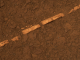 8 Jahre Opportunity: Marsrover findet Wasserspuren