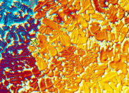Weltgrößte Datenbank für Materialien und Werkstoffen entsteht
