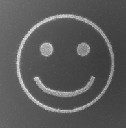 Nanodrähte wachsen durch Ionenstrahl