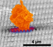 Nano-Pyramiden halten Oberflächen staubfrei