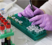 Neue Polymere töten resistente Bakterien ab