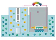 Physikalische Grundlagen des Ionensensitiven Feldeffekttransistor vom Fraunhofer IPMS