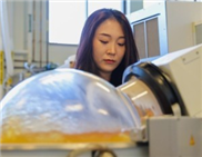 Abbaubares Bioplastik aus Lebensmittelmüll