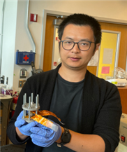 Lithium-Ionen-Batterie mit Billig-Elektrode