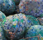 Bakterien lösen das Plastikmüllproblem