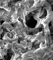 Neuer Kohlenstoff schafft Porositäts-Rekord