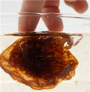 Malva-Nuss wird zum medizinischen Hydrogel