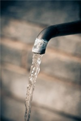 Neue Biowaffe liefert sauberes Trinkwasser