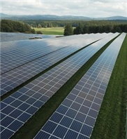 Kampfer macht Perowskit-Solarzellen besser