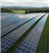 Kampfer macht Perowskit-Solarzellen besser