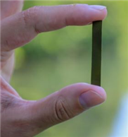 Hybridkunststoff könnte Plastikproblem lösen