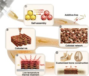 Glasimplantate sollen Knochendefekte heilen