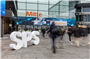 Rückblick: SPS - smart production solutions 2025
