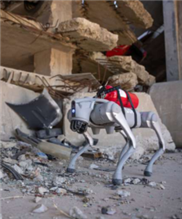 Neuer Robohund denkt mit und erinnert sich