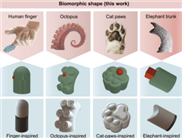 Robotertraining mit künstlichen Katzenpfoten