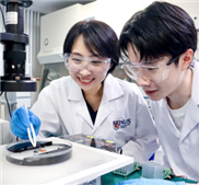 Roboter mit biologischem Muskelantrieb gebaut