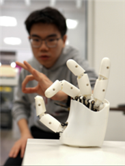 Ultraschallbilder steuern humanoiden Roboter