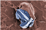 Testfall Graphen