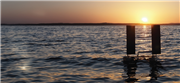«Sustainability Robotics» als neues Forschungsgebiet