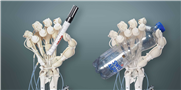 Gedruckte Roboter mit Knochen, Bändern und Sehnen