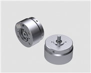 Radialkolbenpumpe mit Durchtriebswelle BRKD