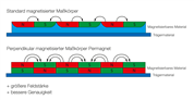 Perpendikulare Magnetisierung