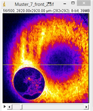 Optische Tomografie zur zerstörungsfreien Messung der Lackdicke