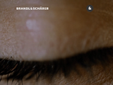 https://www.brandl.ch