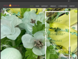 https://www.addea-decor.ch