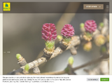 https://www.buergi-baumschulen.ch