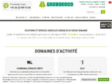http://www.grunderco.ch