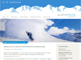 http://www.grischconsulta.ch