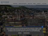 http://www.goldinger.ch