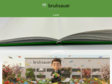 https://www.bruelisauer.ch