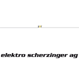 http://www.scherzinger-ag.ch