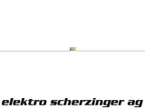 http://www.scherzinger-ag.ch