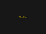 https://www.posalux.com