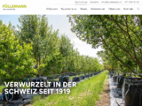 http://www.fuellemann.ch