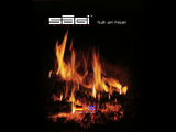 http://www.saegiag.ch