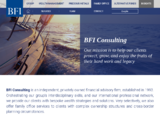 http://www.bfi-consulting.com