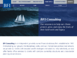 http://www.bfi-consulting.com