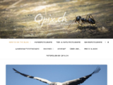 http://www.qdesign.ch