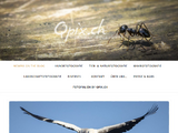 http://www.qdesign.ch
