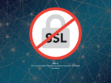 http://www.sanseg.ch