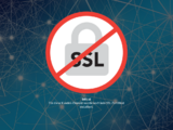 http://www.sanseg.ch