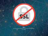 http://www.sanseg.ch