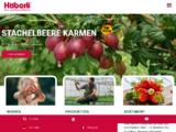 https://www.haeberli-beeren.ch
