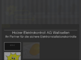 https://www.holzerelektrokontroll.ch