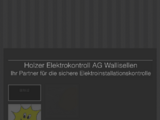 https://www.holzerelektrokontroll.ch