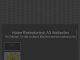 https://www.holzerelektrokontroll.ch